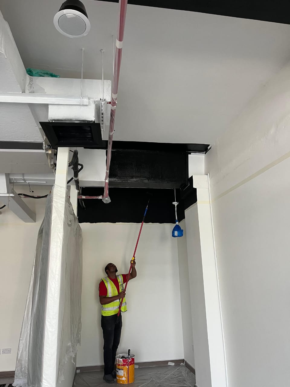 Painting & Carpentry